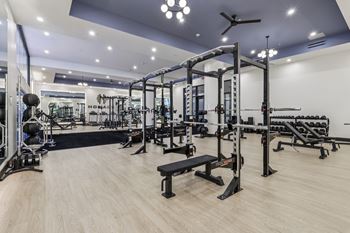 A gym with a variety of equipment including a squat rack, bench, and weights.